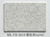 ML-CS-2615