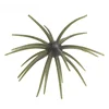 13 verde militare blu flash