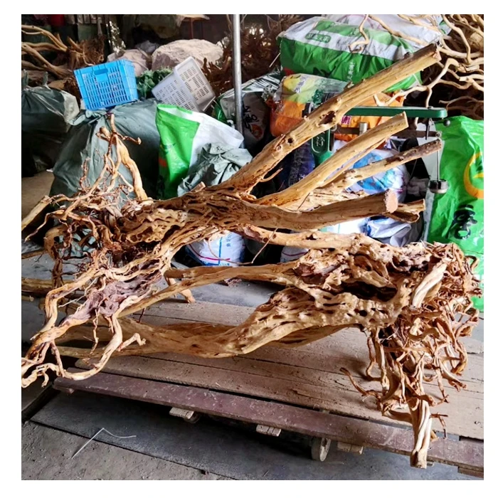 家庭用装飾 ガーデン造園 大型流木 アザレアの根| Alibaba.com