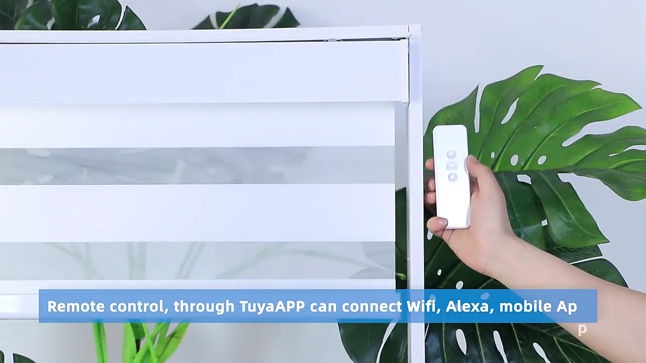 Wireless Automation Wifi Alexa Smart Control Blackout Window Electrical