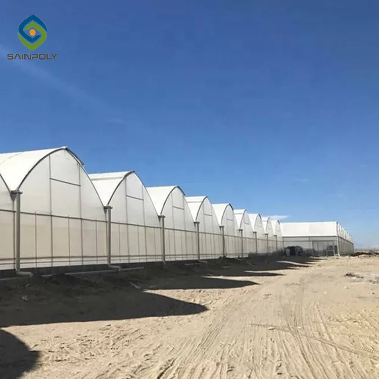 Factory Direct 1000M2 Greenhouse Smart English Design with PVC and Film Material