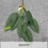 Flor de Goma Hoja de Bambú