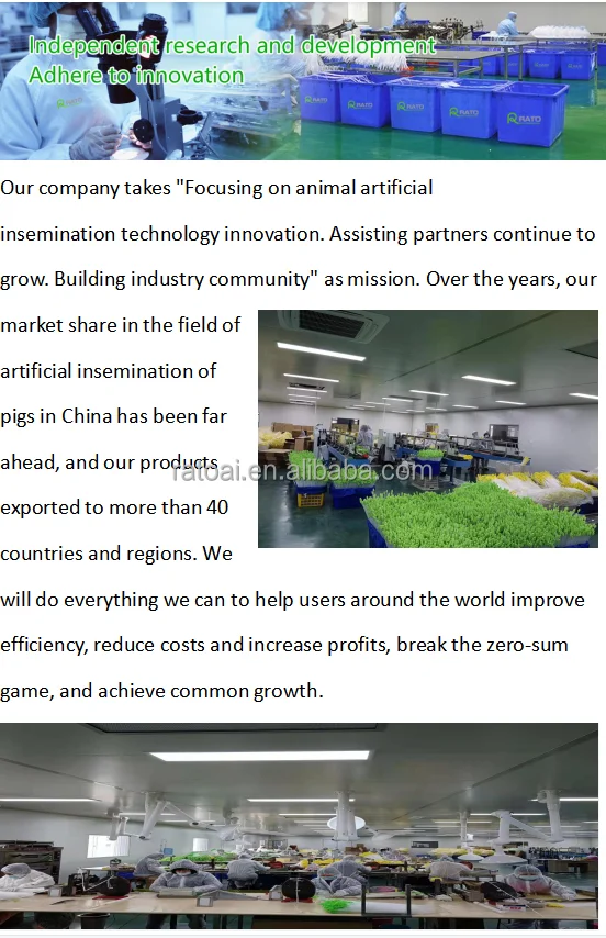 company.png