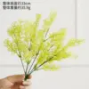 Fennel stalks are light green