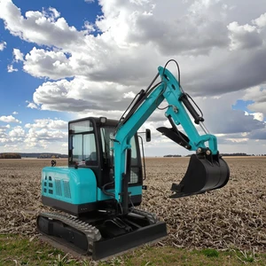 High Efficiency Mini Crawler Certified Compliant Excavator Compact Crawler Excavator Swing Boom Excavator