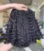 burmese curly