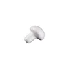 Petite taille 3 cm de long
