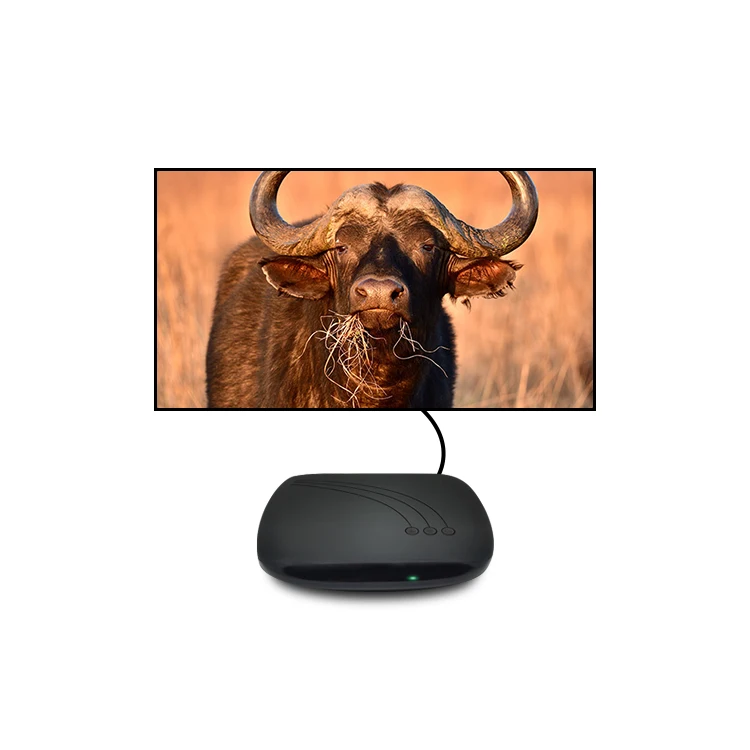 Software Customized Decoder Timely After-Sales Service Comprehensive Technical Assistance Digital Cable Box Descrambler