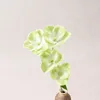 una rama verde