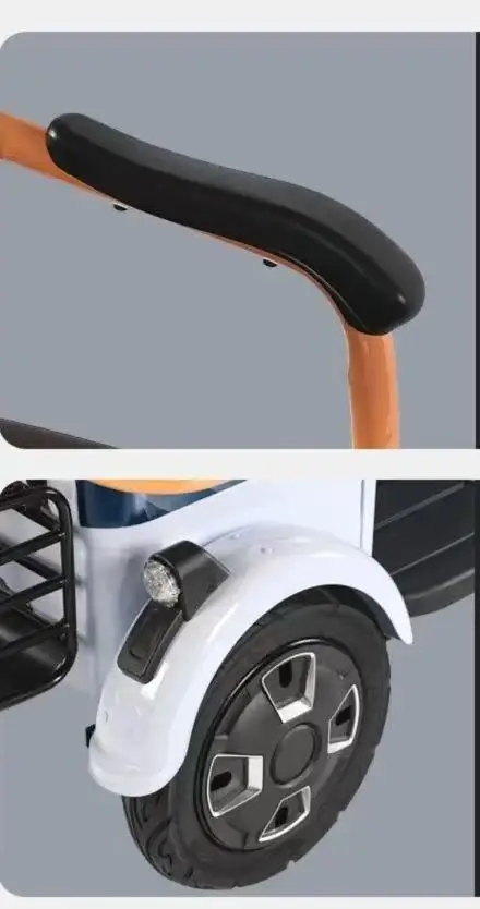 Electric Tricycle 3-Wheeler Scooter 1000W Motor 140km Range for Adults Cargo & Passenger