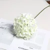 Blanco y verde