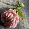 สีชมพูอ่อน