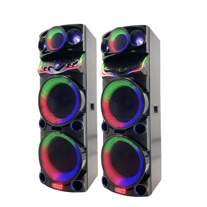 Latest DJ Speaker Double 12 Inch Speaker 200W TWS Woofer Speaker With  Double Wireless Microphone
