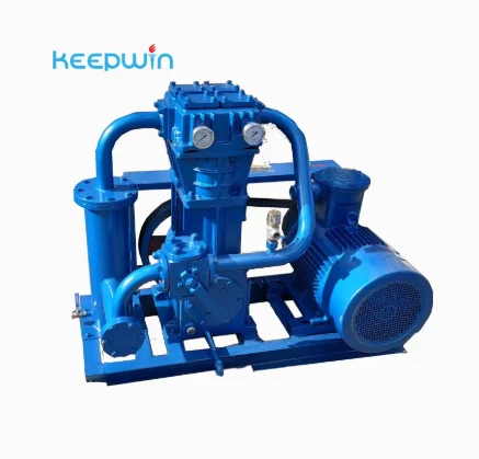 Reciprocating Natural Cas Compressor LPG Compresor for LPG Gas Transfer Kit