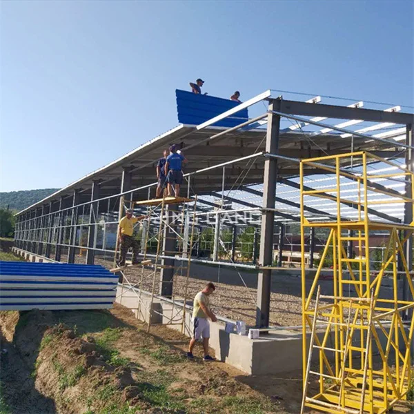 Hangar d'avion de structure en acier galvanisé par conception industrielle adaptée aux besoins du client par matériel préfabriqué moderne