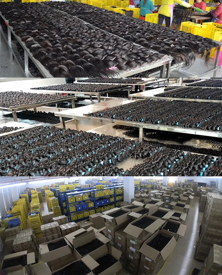 未加工的原始头发易戴人发假发机器做头发头顶假发