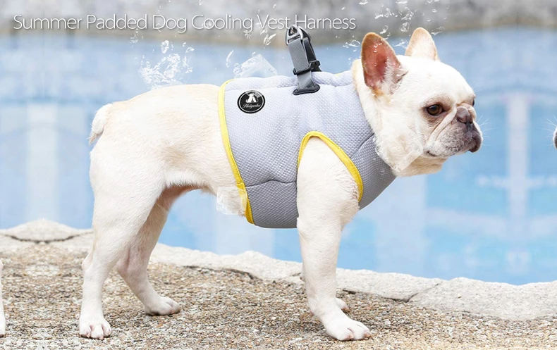 how do dog cooling vests work