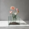 Rose1