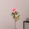 สี หมายเลข8