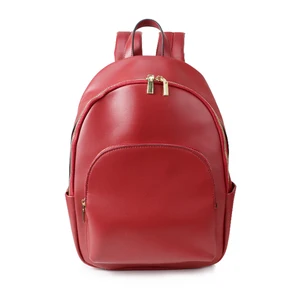 Waterproof Anti-Theft Travel PU Leather Zipper Custom Versatile Multi-functional General-purpose Polyester Letter Backpack