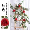 1.8-meter red rose vine