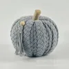 XH23-223 Gray Pumpkin
