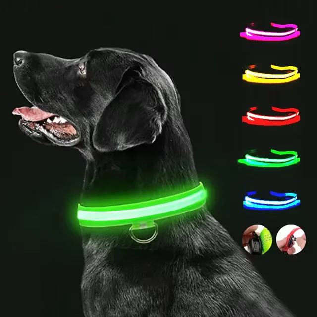OEM Custom LOGO Nylon LED Pet Dog Collar Night Safety Flashing Glow In The Dark Dog Leash Dogs Luminous Collars