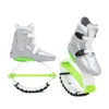 4T verde argento