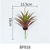 BF018