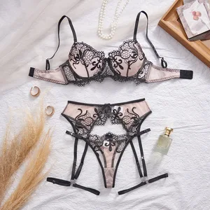 2026 Cross-Border New Arrival Sexy Lingerie Floral Embroidered Double-Layer Cup Underwire Push-Up Sheer Mesh Bra Set