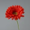 rosso scuro