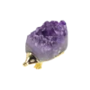 hedgehog-D