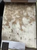 Beige-7