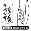 Wyb-06-150300mm