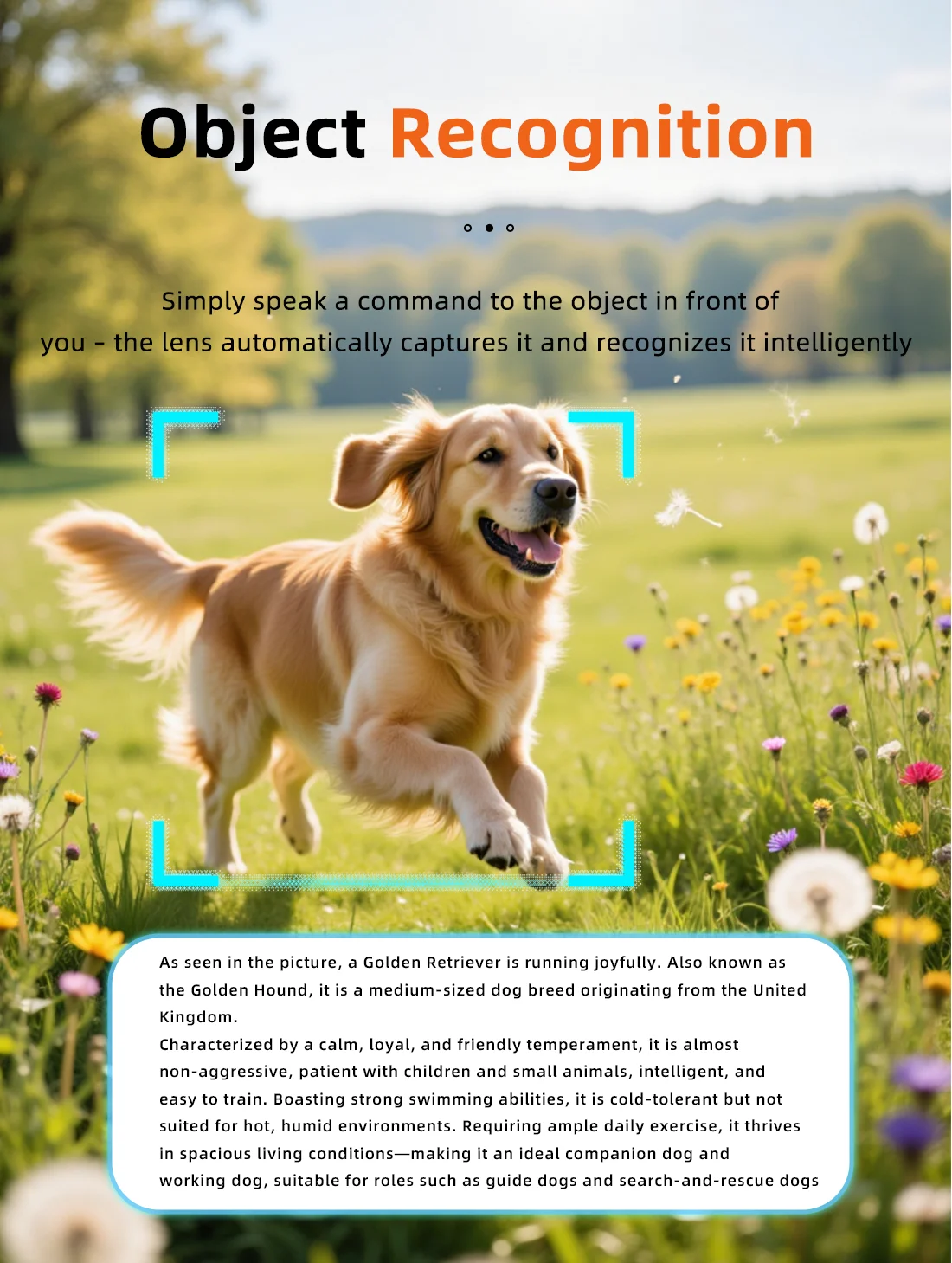 Welcome OEM Order, Factory Whole Selling Sanvnet Snt Solis Smart Eyewear With 8mp Camera Wifi Transfer Video Recording Outdoor Cycling Sunglasses Al Smart Glasses 2026 - Buy Al Glasses smart Glasses 4k Camera Glasses augmented Reality glasses glasses With Camera sunglasses With Camera video Glasses