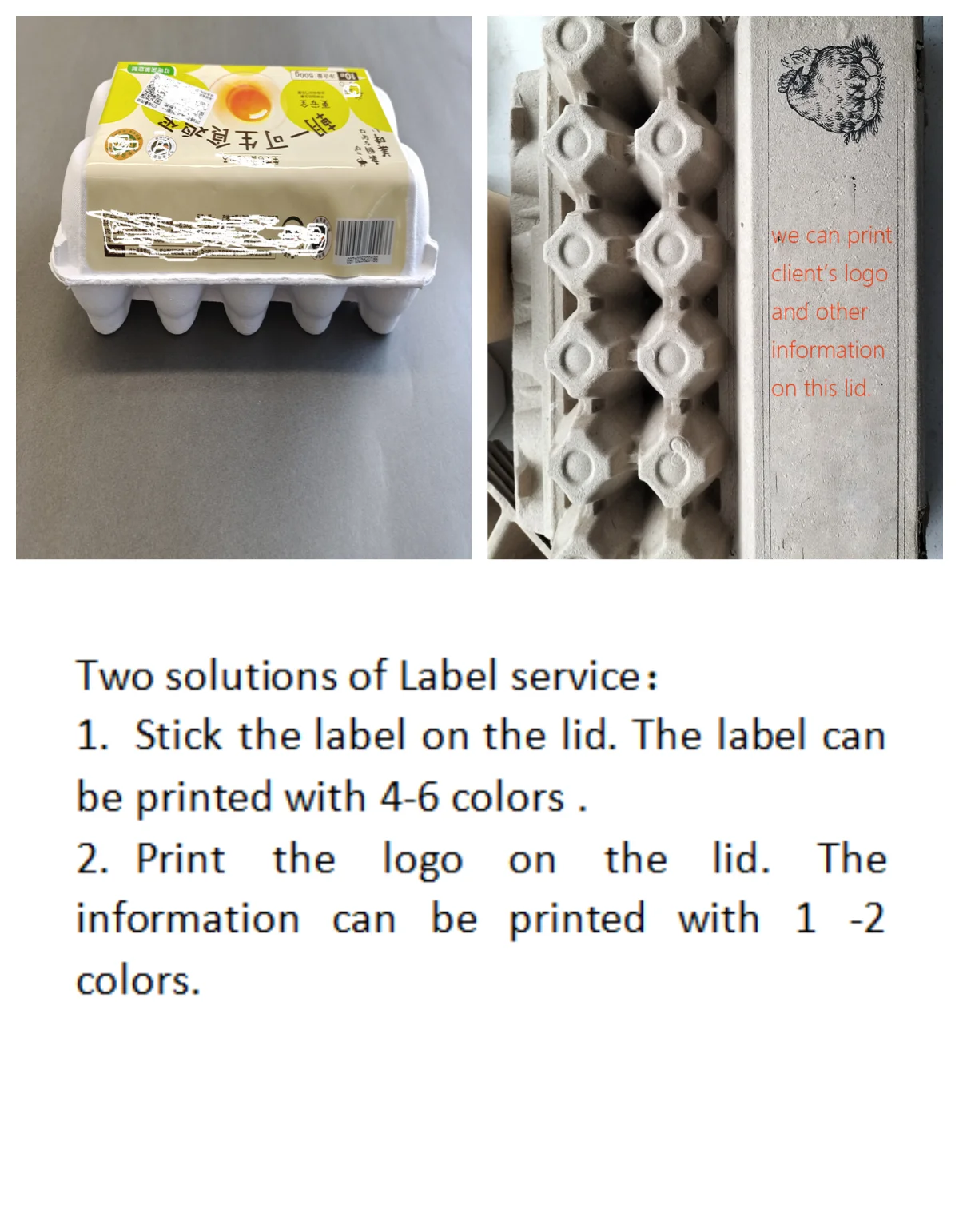 High Quality 12 Cells Egg Cartons Compostable Chicken Cardboard Holder