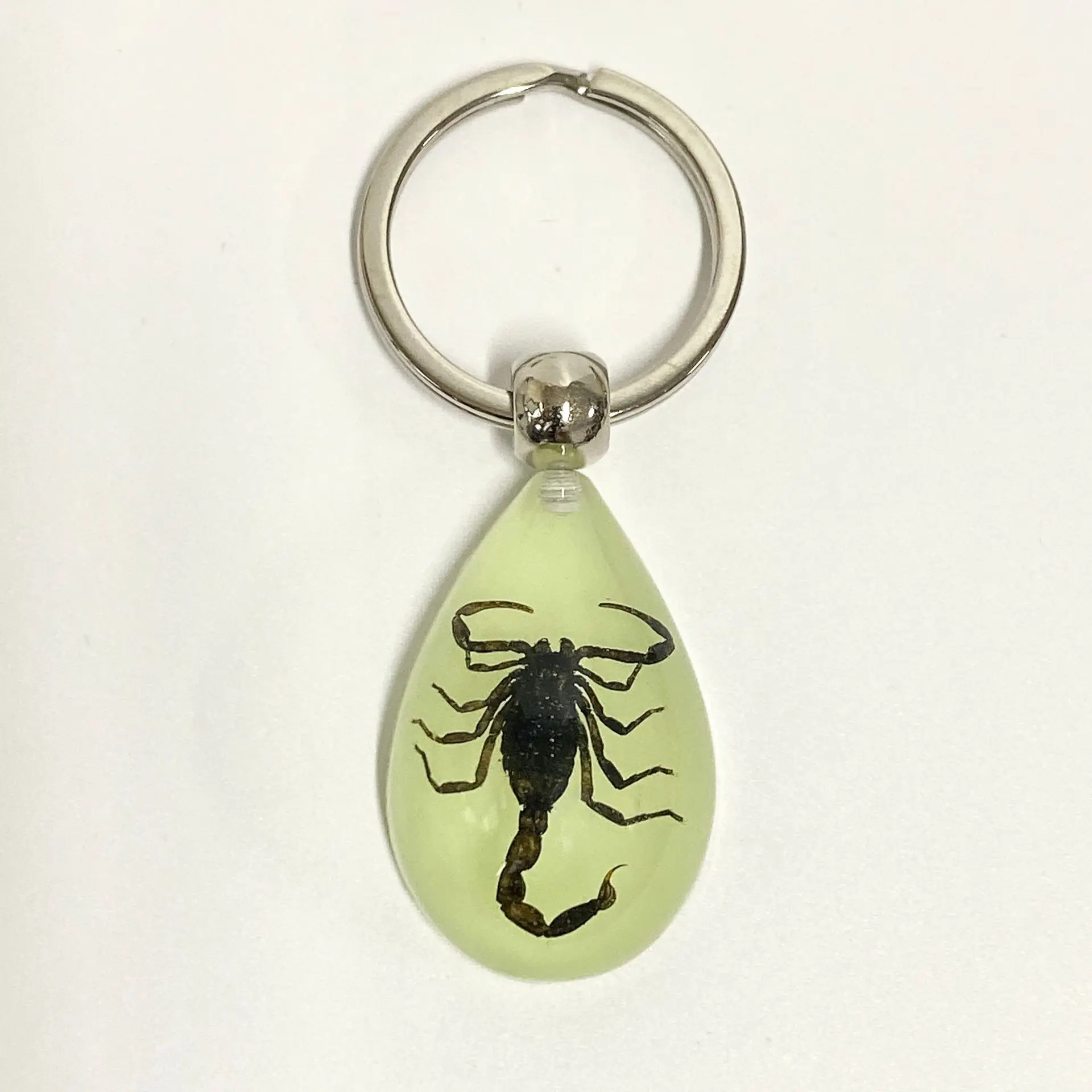 ホールセール 夜光昆虫標本 エポキシ樹脂製キーチェーン 4.5×3.1cm