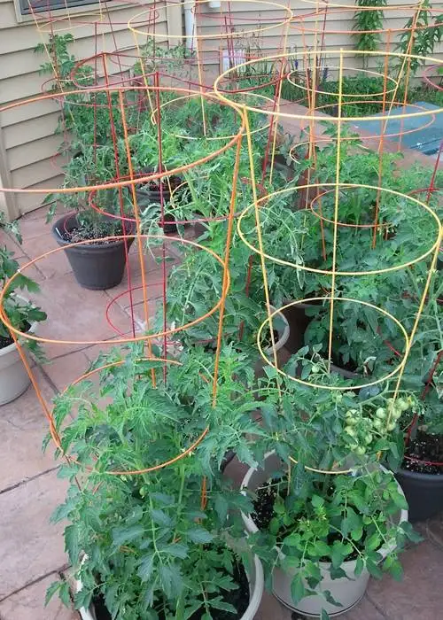 Garden Trellis Cone Tomato Tower Cage,plant Support Stake For Vertical 