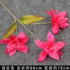 Rose red three-pronged lily branch