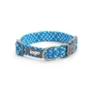 Fresh Blue