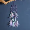 Purple cat
