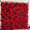 Rose garance