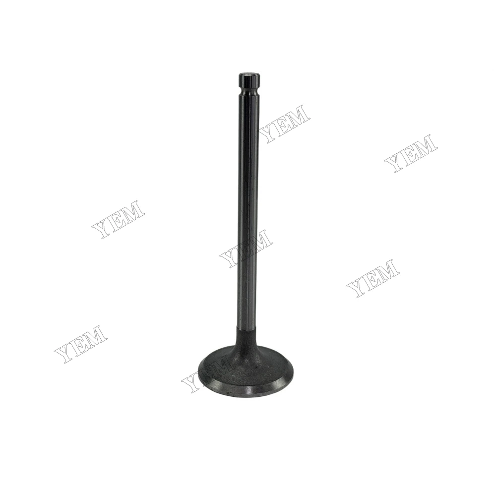 Intake Valve Fit for Xinchai C490BPG Engine 4