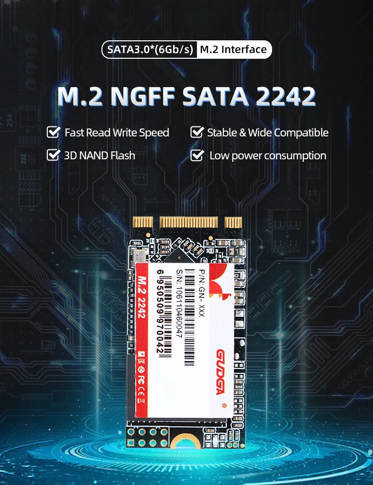 gudga m.2 ssd 2242 quality warranty