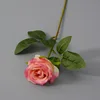 Rosa1