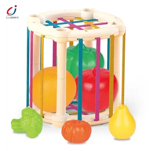 Chengji Baby Sensory Activity Cube Toys Montessori Color Sorting Toy Plastic Fruit Shape Sorter Educational Toy for Children