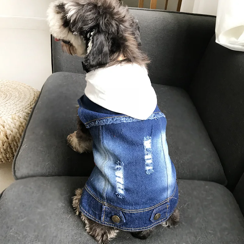 dog jeans pants