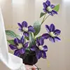 Deep purple clematis