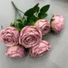 Haba pastel