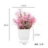 Aroma potted plants